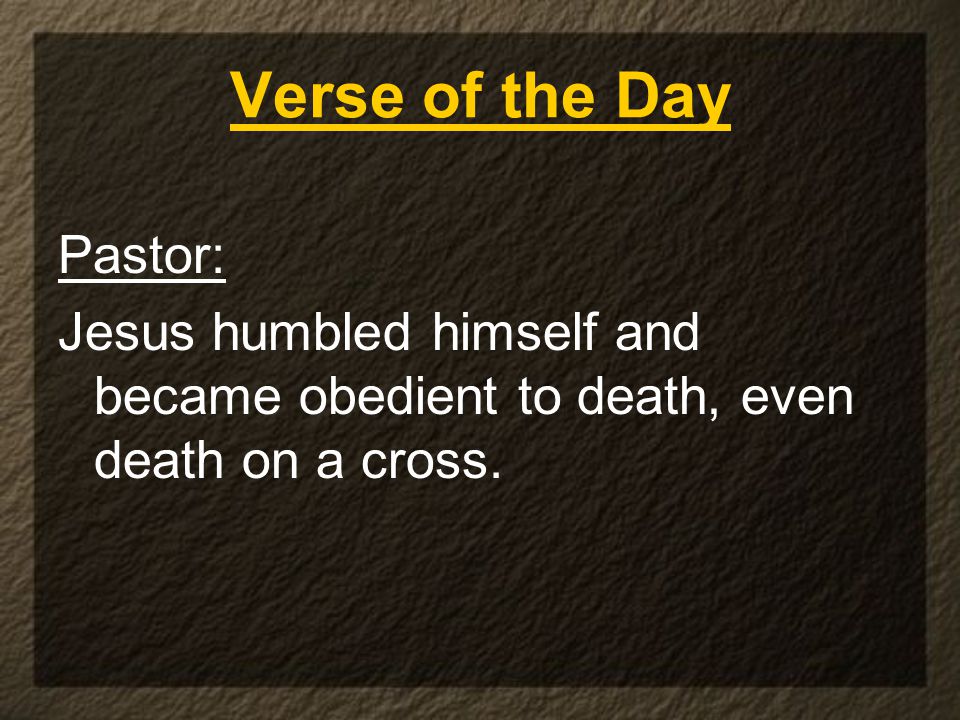 Verse of the Day Pastor: