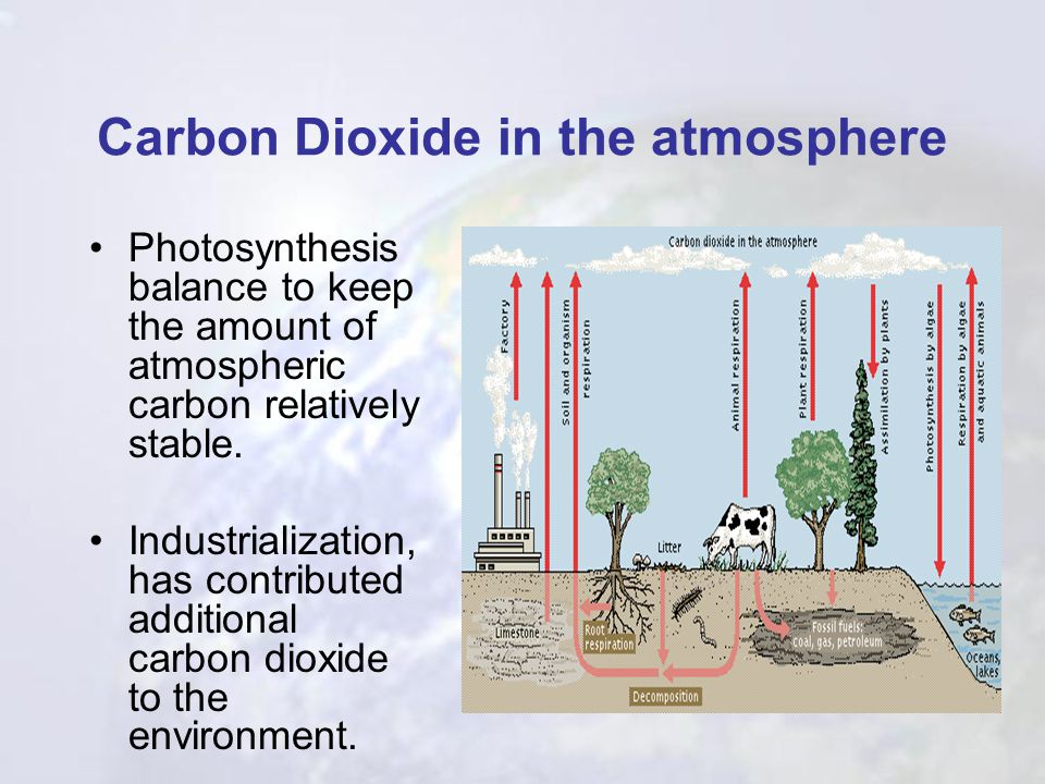 Carbon Dioxide in the atmosphere