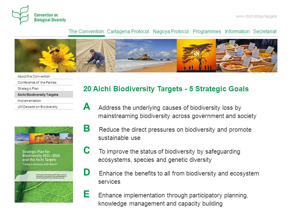A Address the underlying causes of biodiversity loss by