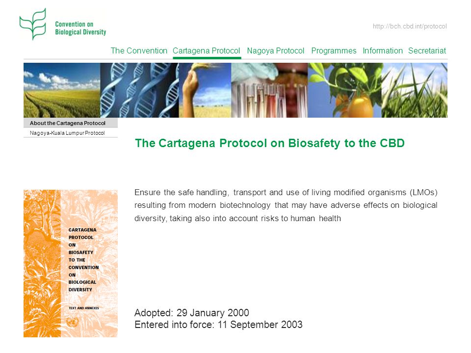 The Cartagena Protocol on Biosafety to the CBD