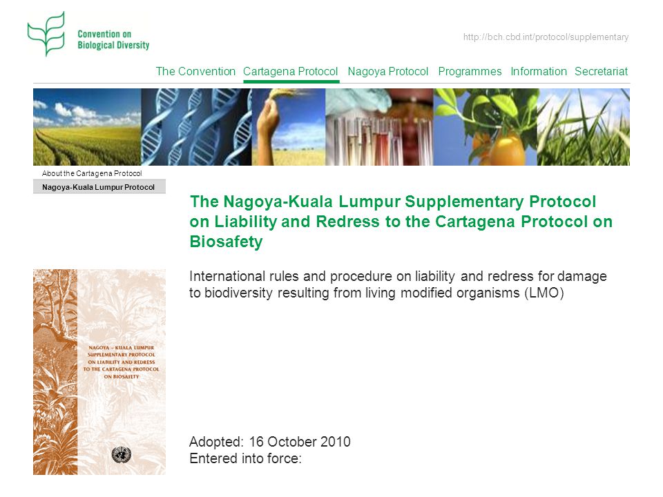 The Convention Cartagena Protocol Nagoya Protocol Programmes Information Secretariat.