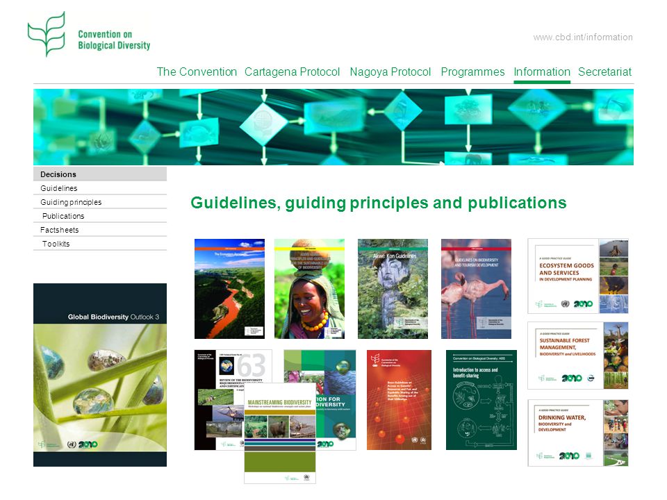 Guidelines, guiding principles and publications