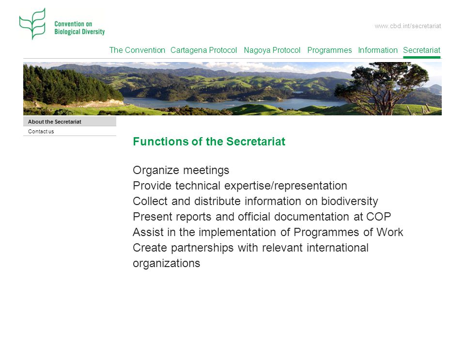 Functions of the Secretariat Organize meetings
