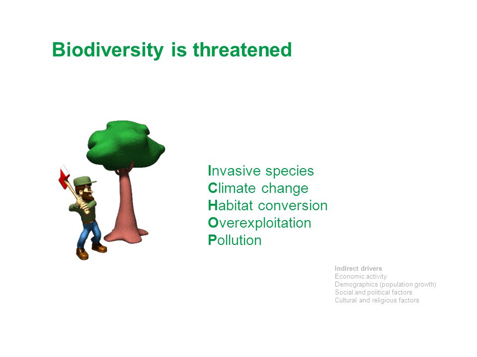 Biodiversity is threatened
