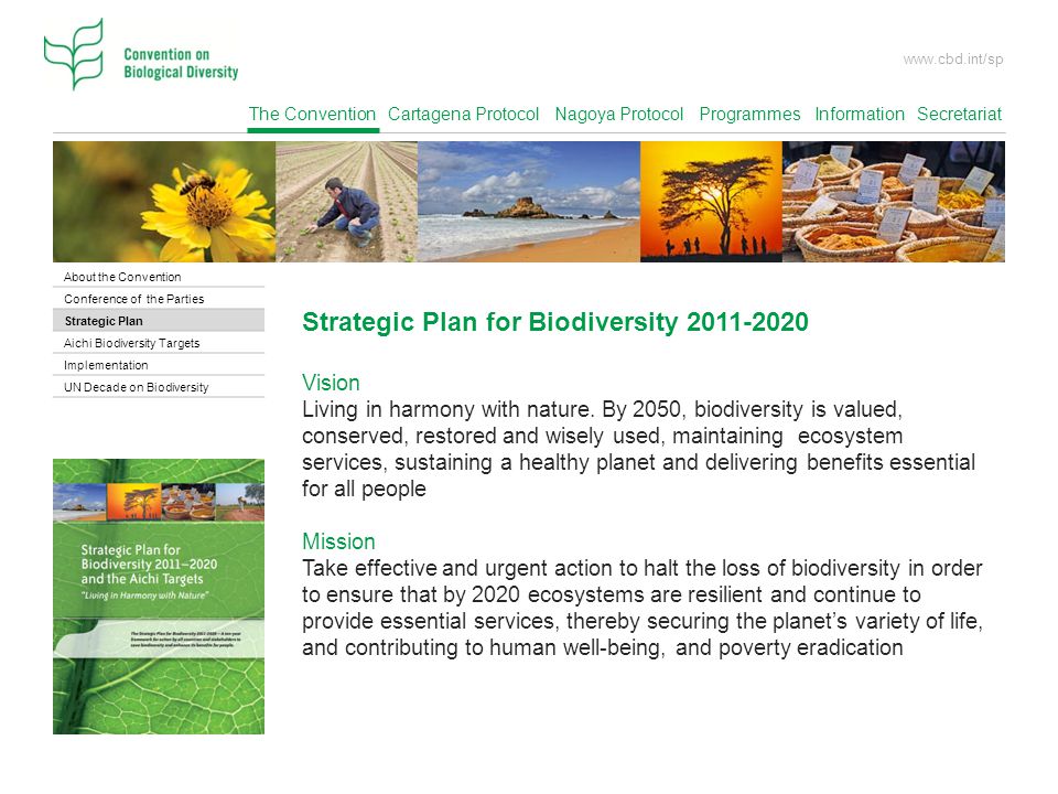 Strategic Plan for Biodiversity