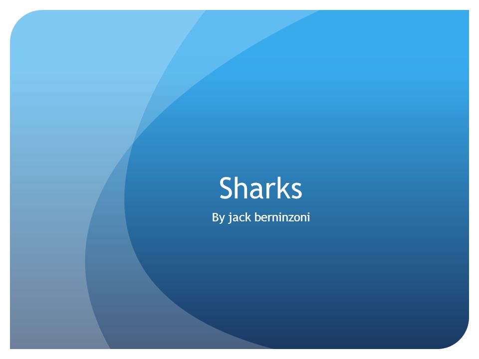 Sharks By jack berninzoni
