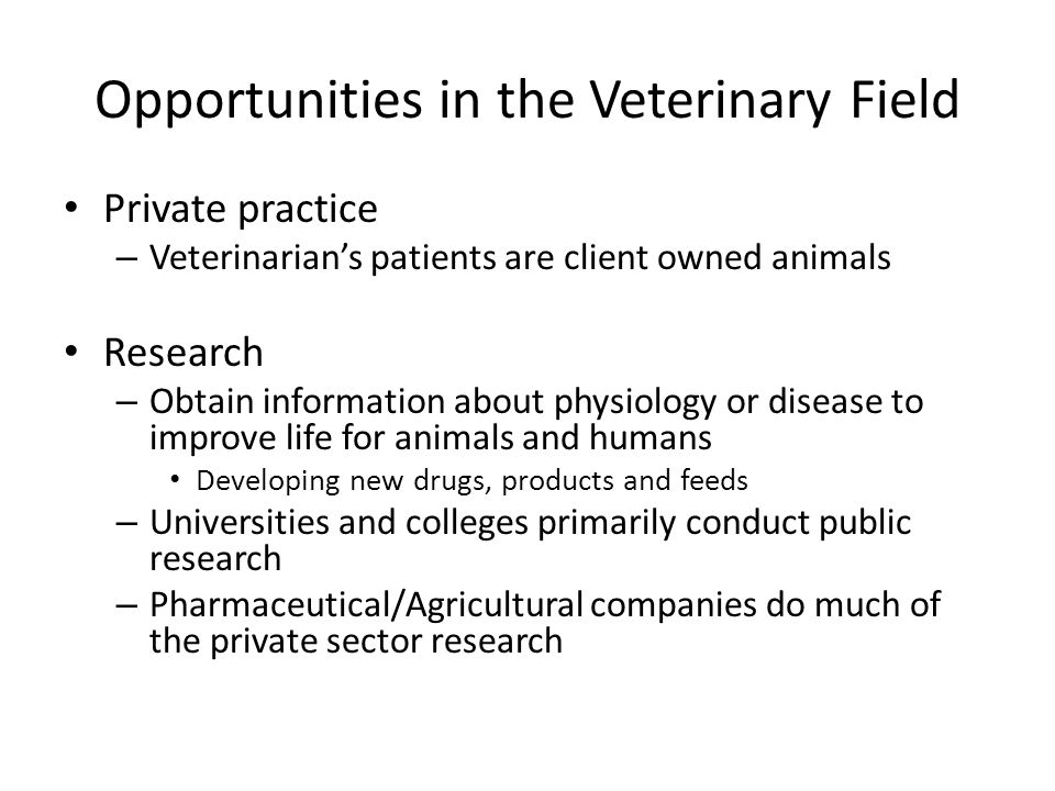 Opportunities in the Veterinary Field