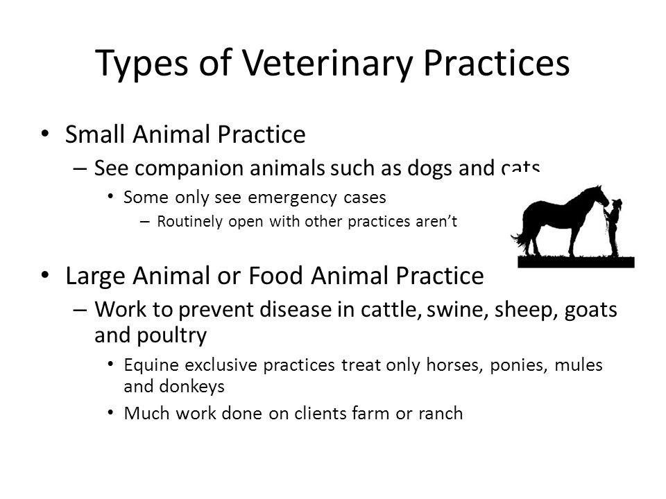 Types of Veterinary Practices