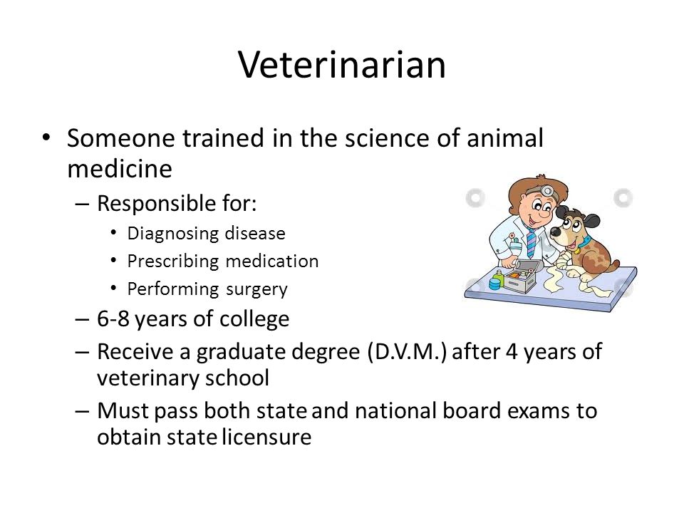 Veterinarian Someone trained in the science of animal medicine