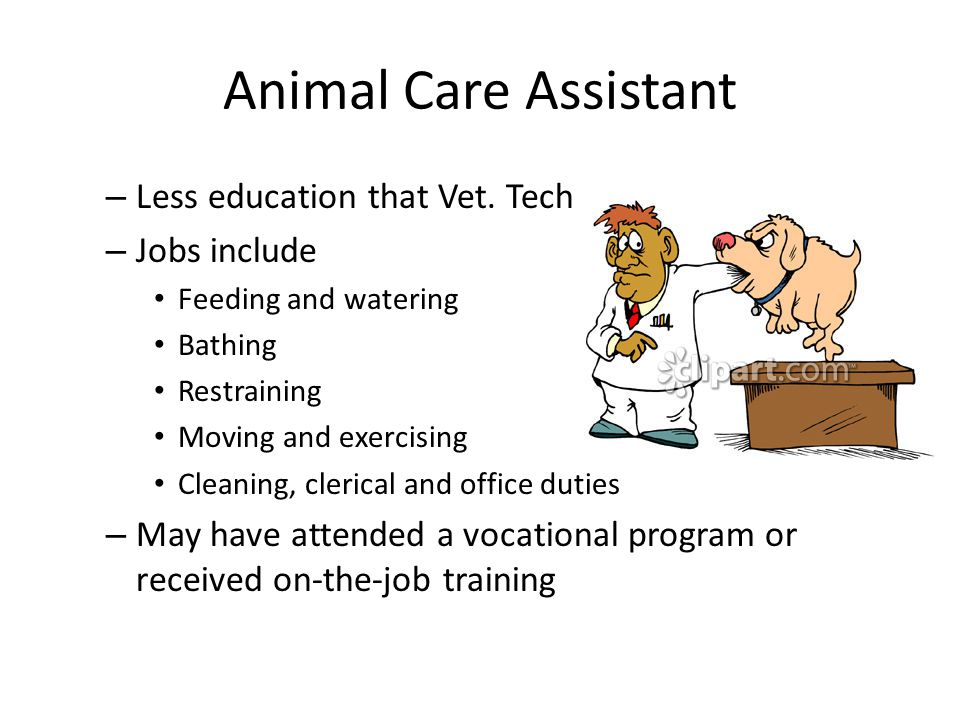 Animal Care Assistant Less education that Vet. Tech Jobs include