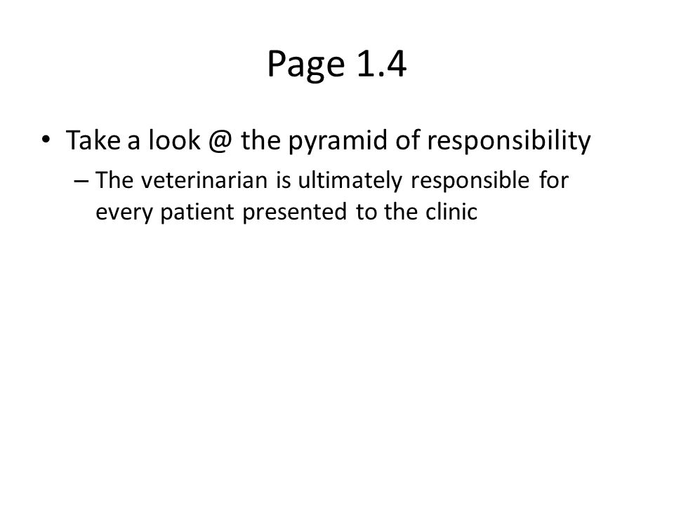 Page 1.4 Take a the pyramid of responsibility