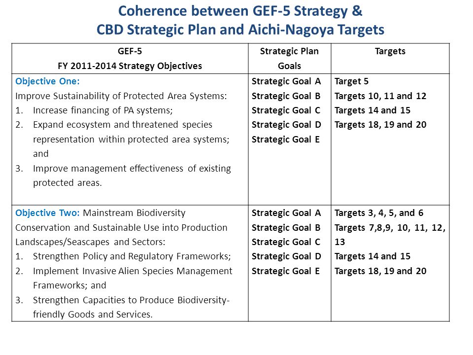 FY Strategy Objectives