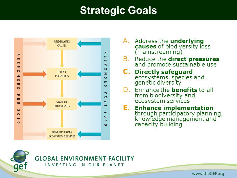 Strategic Goals Address the underlying causes of biodiversity loss (mainstreaming) Reduce the direct pressures and promote sustainable use.