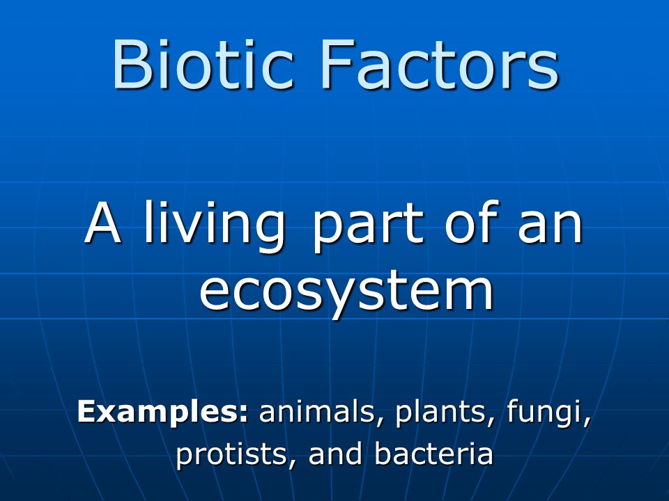 Biotic Factors A living part of an ecosystem