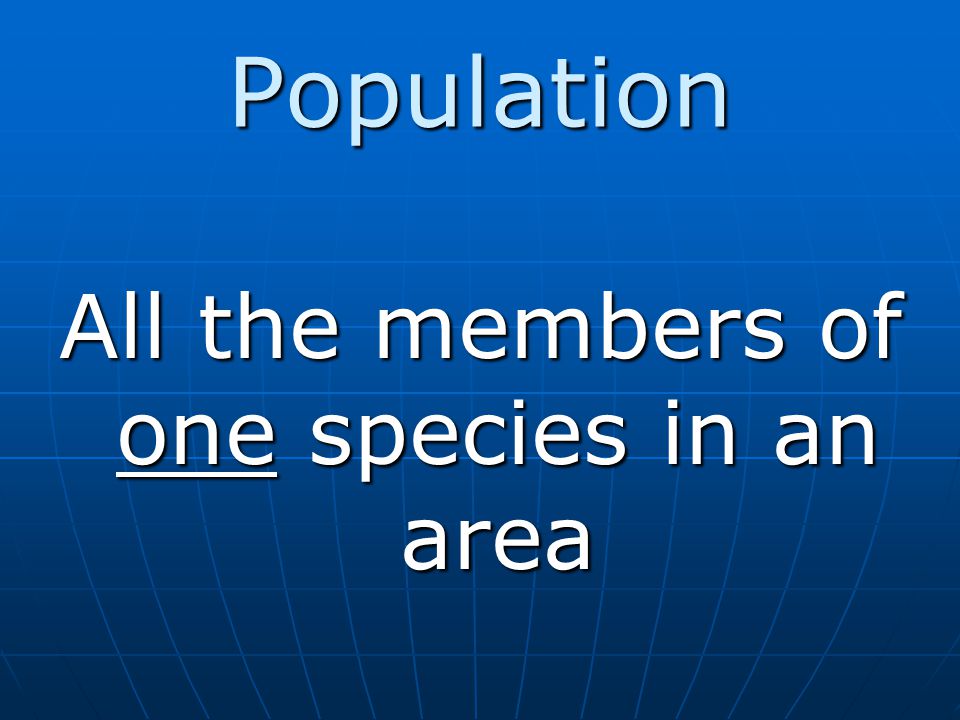 All the members of one species in an area