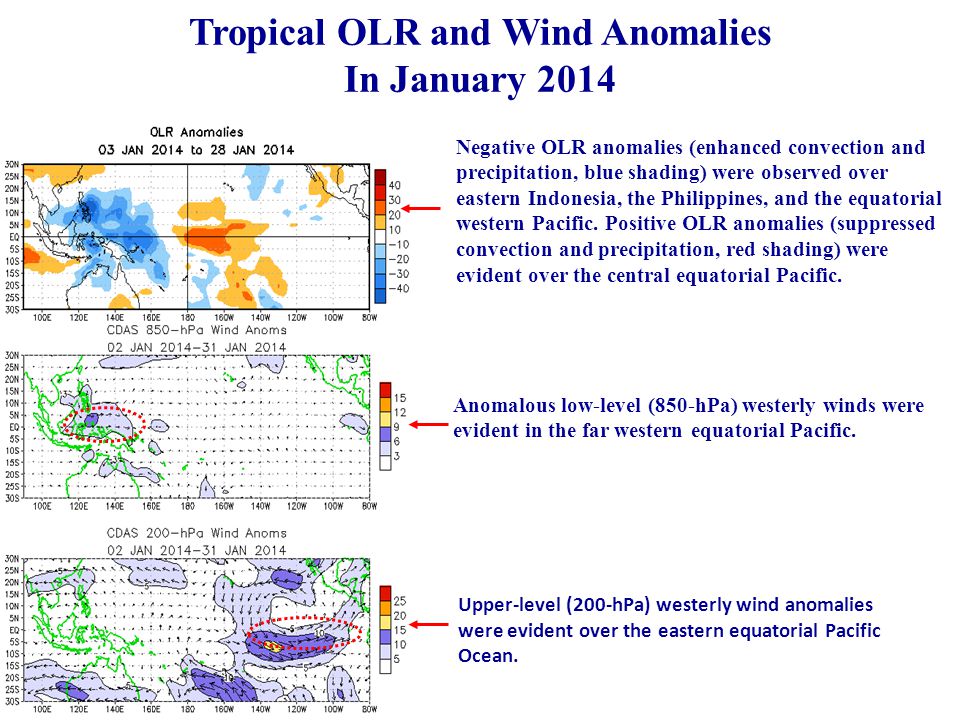 Tropical OLR and Wind Anomalies In January 2014