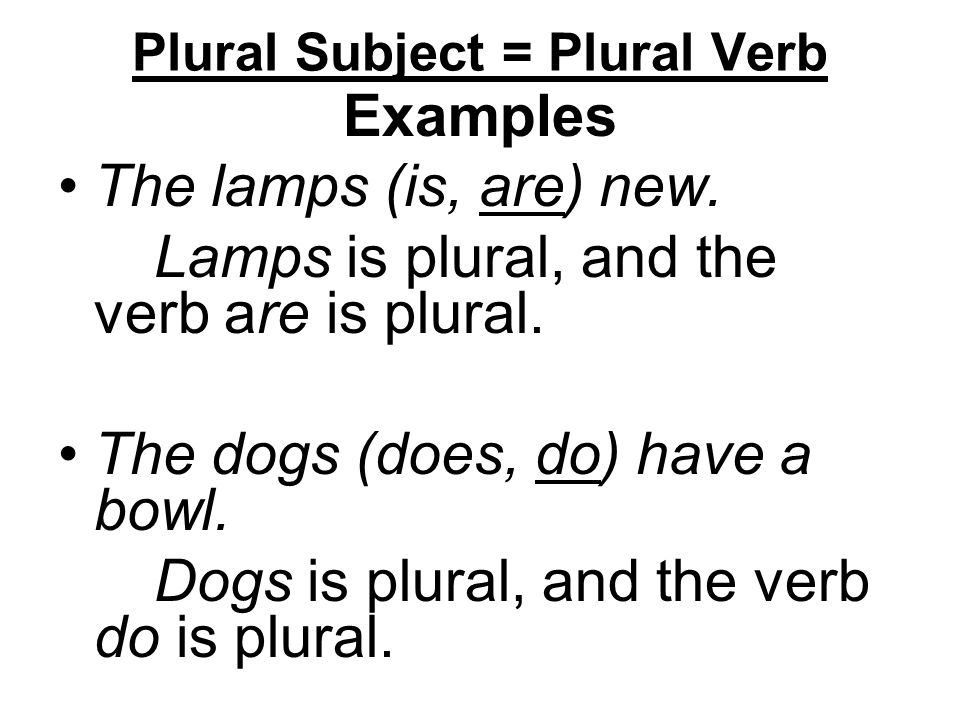 Plural Subject = Plural Verb