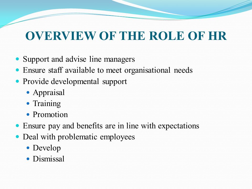 OVERVIEW OF THE ROLE OF HR