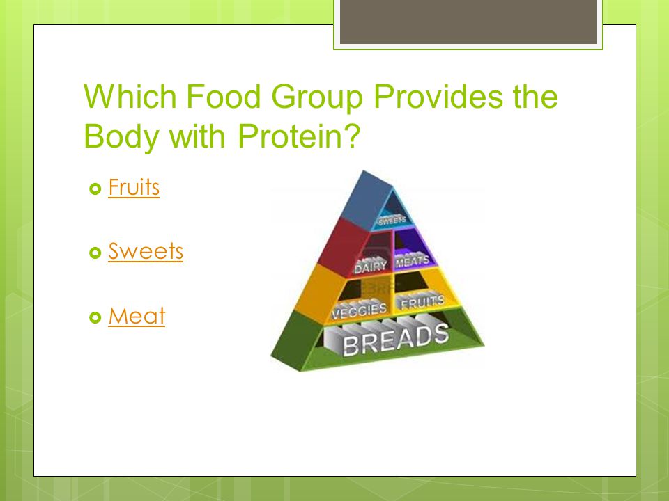 Which Food Group Provides the Body with Protein