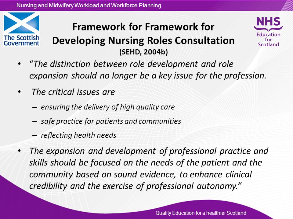 Framework for Framework for Developing Nursing Roles Consultation (SEHD, 2004b)