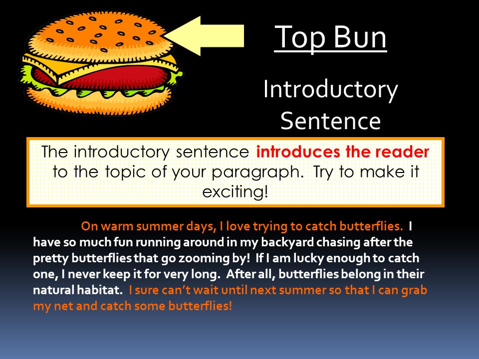 Introductory Sentence