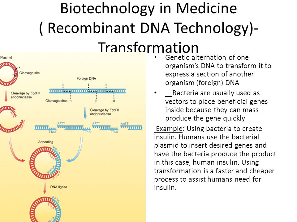 Biotechnology in Medicine ( Recombinant DNA Technology)- Transformation