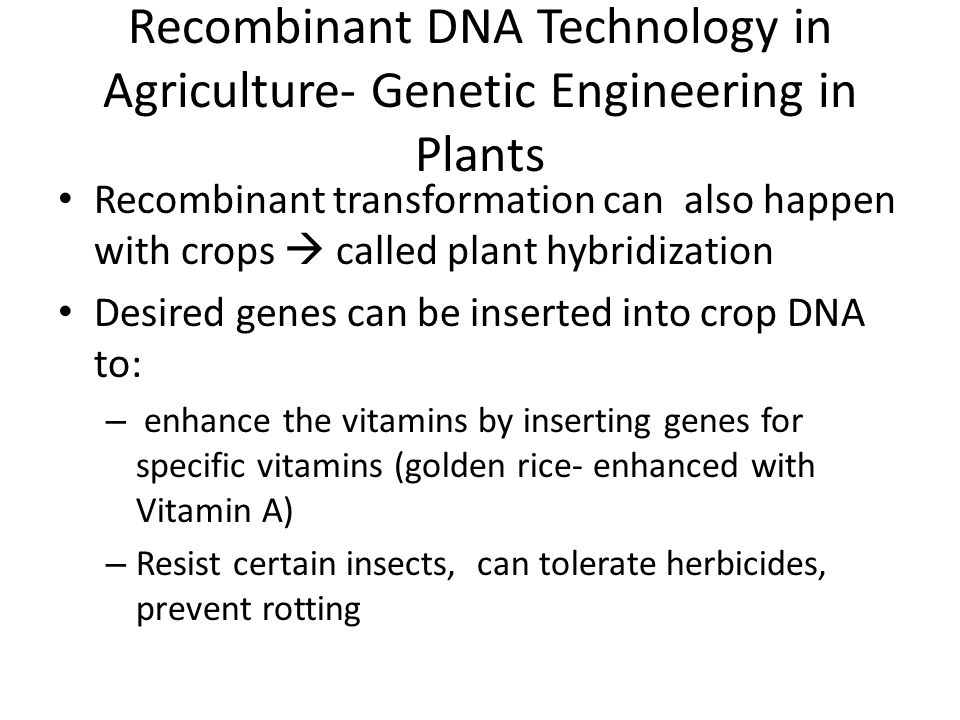 Recombinant DNA Technology in Agriculture- Genetic Engineering in Plants