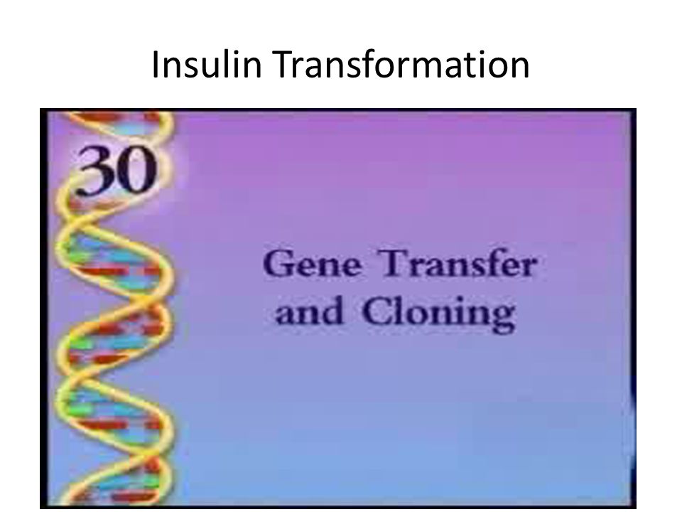 Insulin Transformation