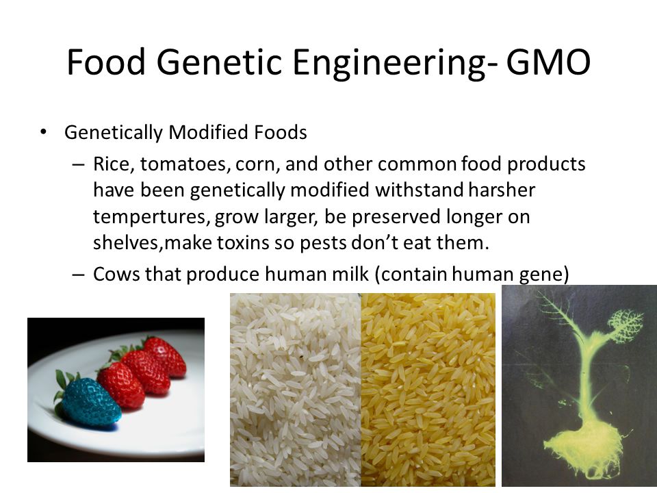 Food Genetic Engineering- GMO