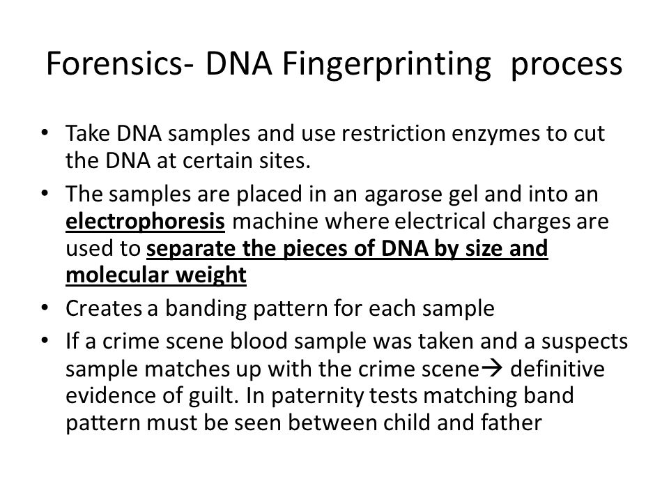 Forensics- DNA Fingerprinting process