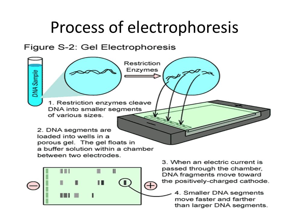 Process of electrophoresis