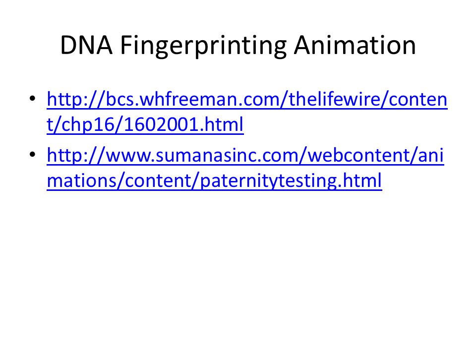 DNA Fingerprinting Animation