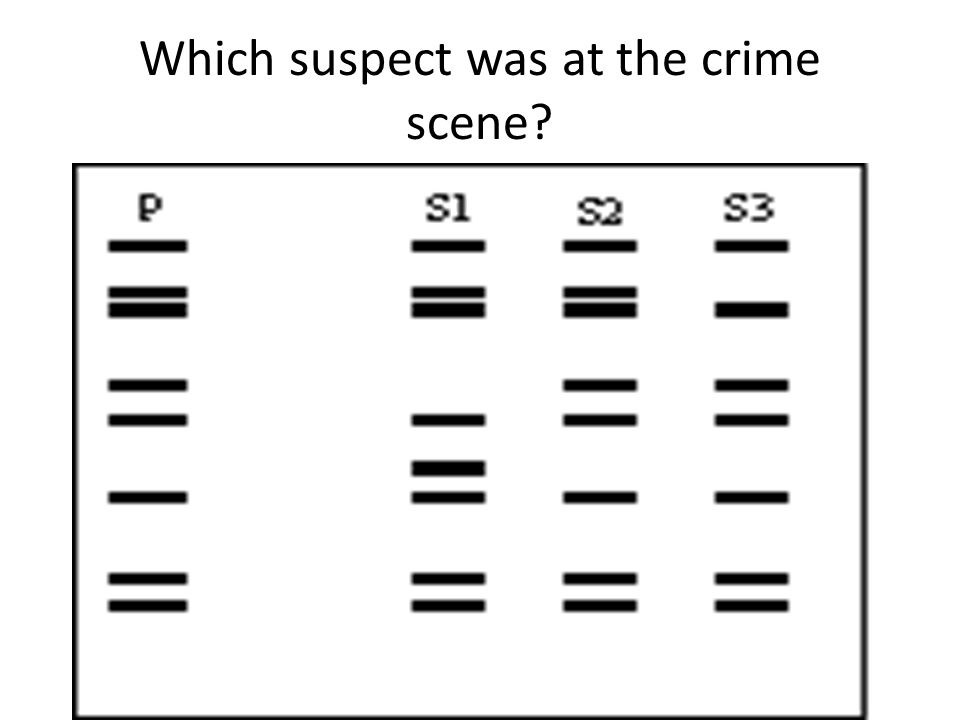 Which suspect was at the crime scene