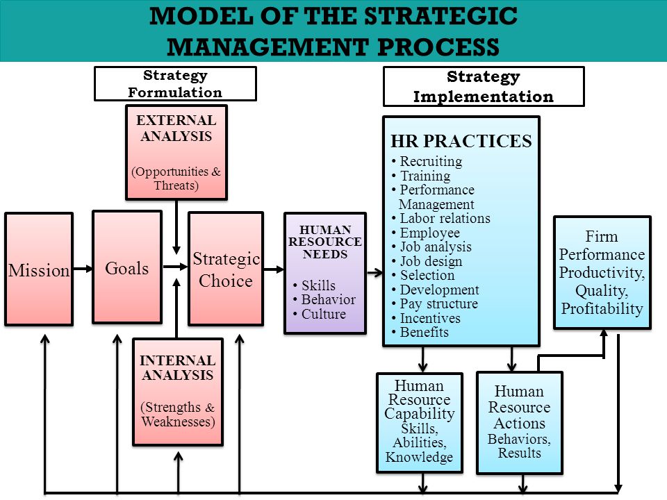 MODEL OF THE STRATEGIC MANAGEMENT PROCESS