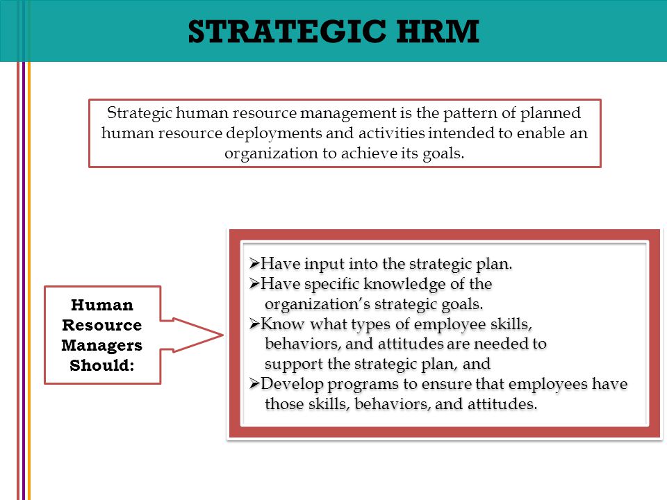 Human Resource Managers Should: