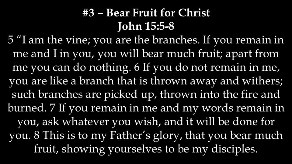 #3 – Bear Fruit for Christ