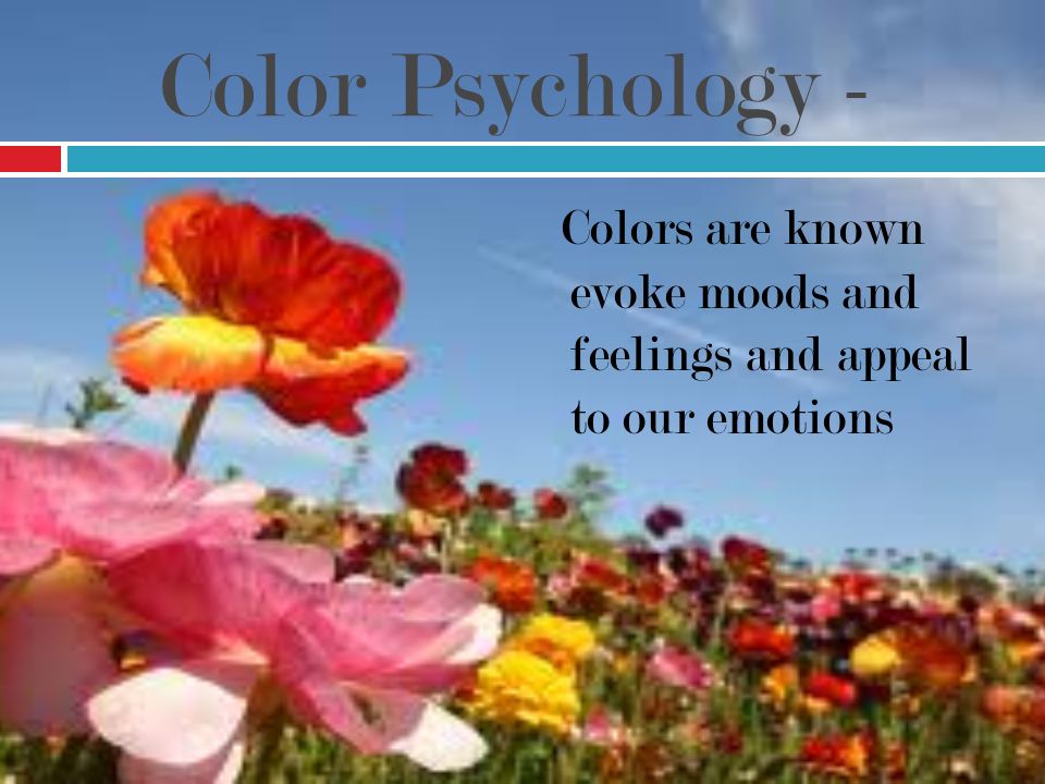 Colors are known evoke moods and feelings and appeal to our emotions