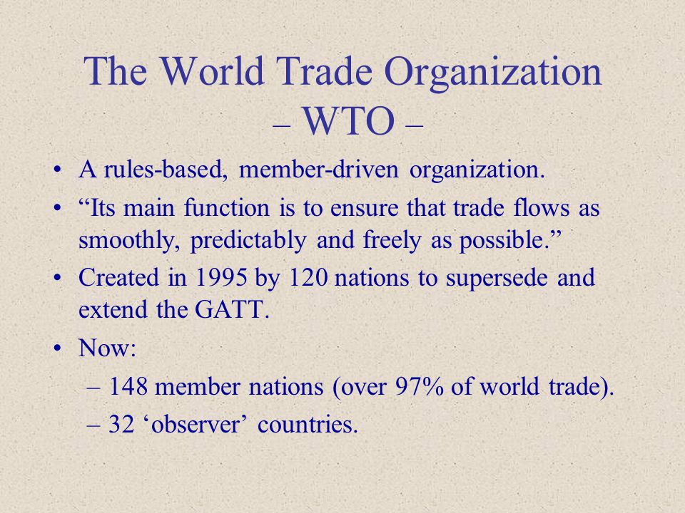 explain the functions of wto