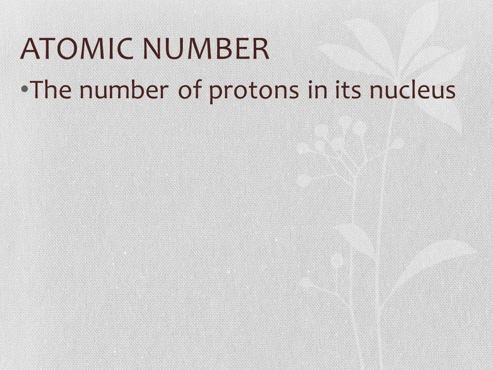 ATOMIC NUMBER The number of protons in its nucleus