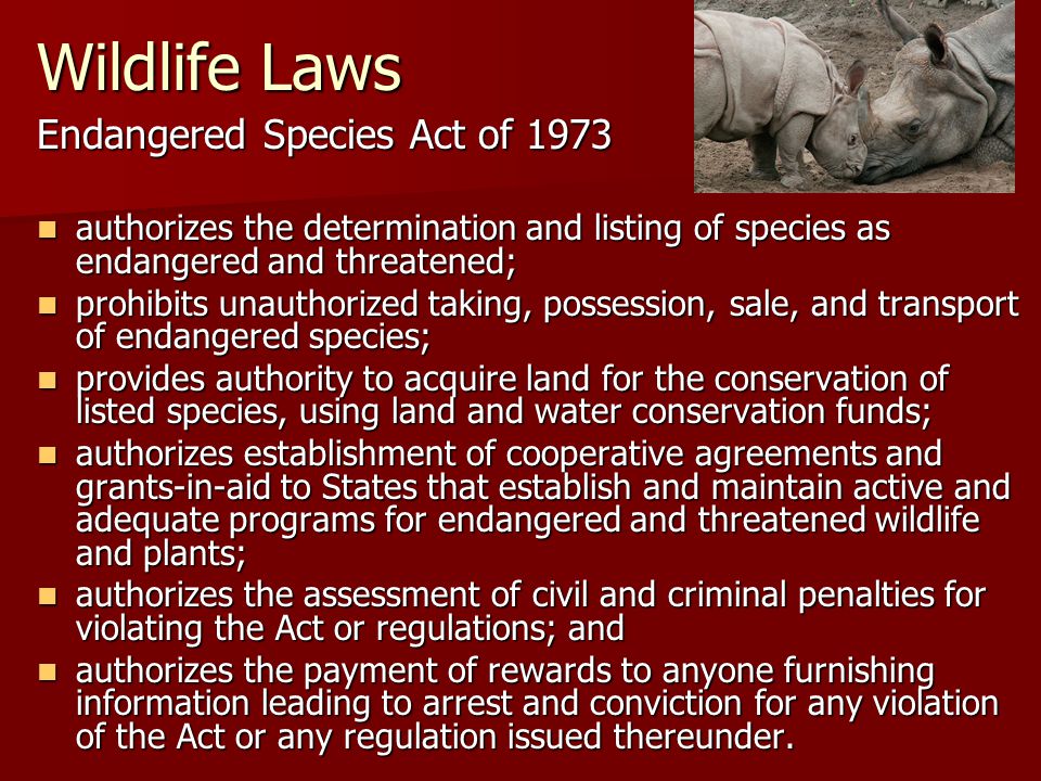 Wildlife Laws Endangered Species Act of 1973