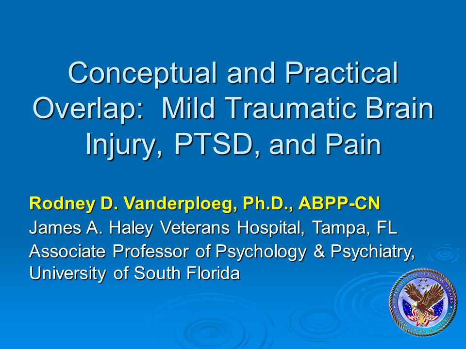 Conceptual and Practical Overlap: Mild Traumatic Brain Injury, PTSD, and Pain
