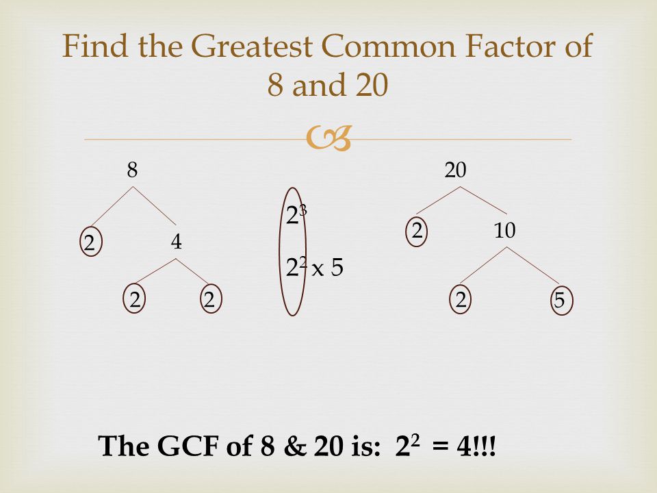Find the Greatest Common Factor of 8 and 20