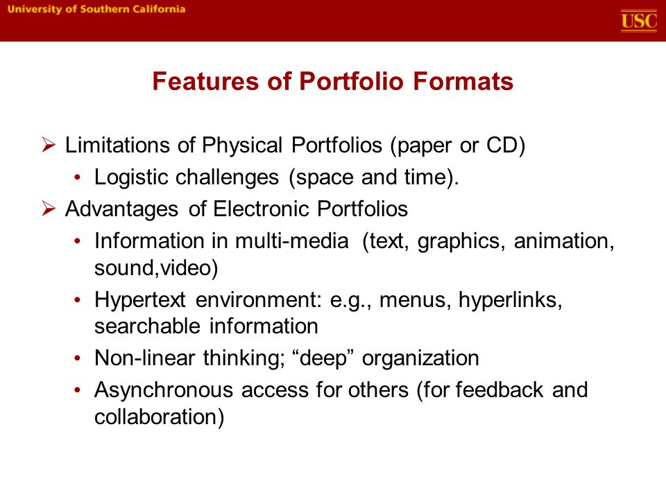 Features of Portfolio Formats