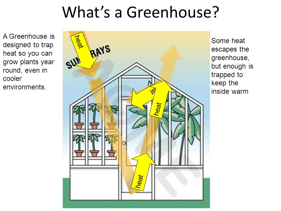 What’s a Greenhouse A Greenhouse is designed to trap heat so you can grow plants year round, even in cooler environments.