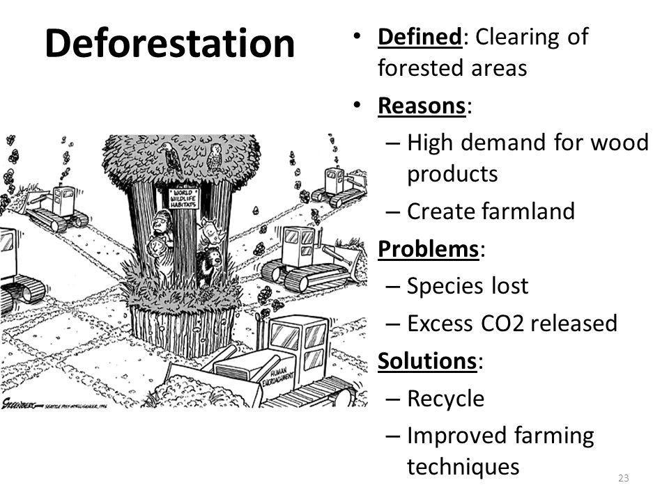 Deforestation Defined: Clearing of forested areas Reasons: