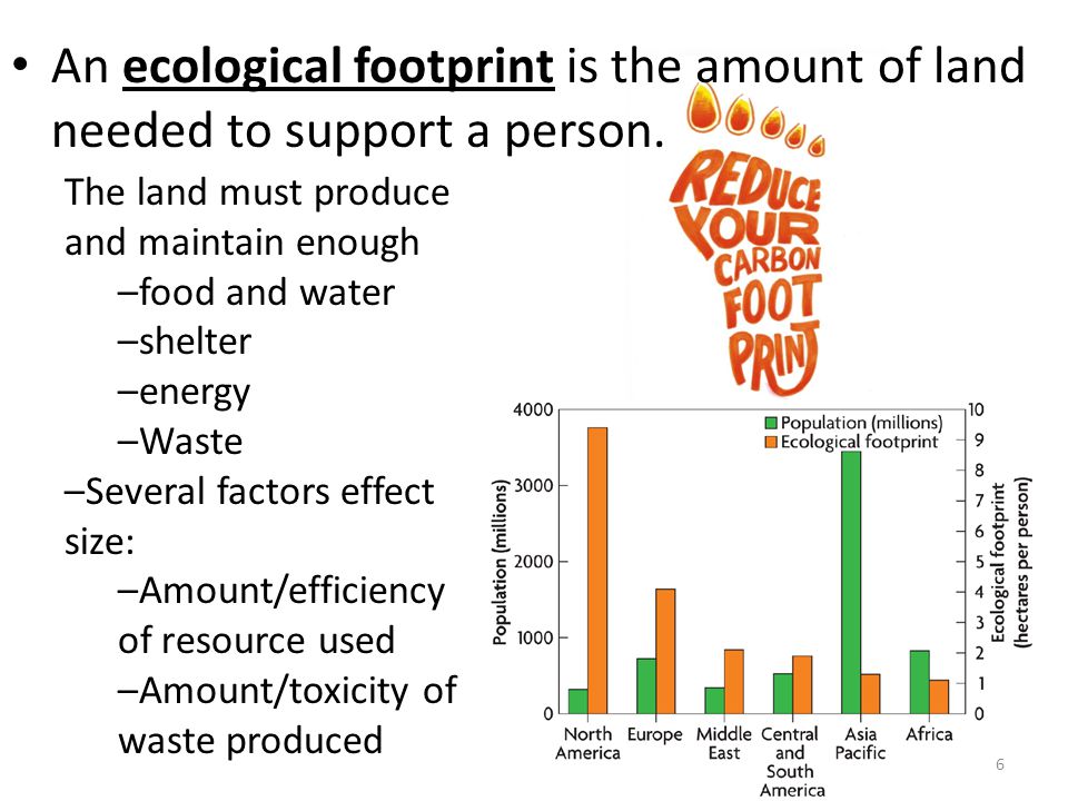 An ecological footprint is the amount of land needed to support a person.