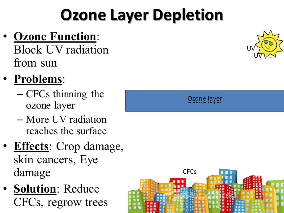 Ozone Layer Depletion Ozone Function: Block UV radiation from sun