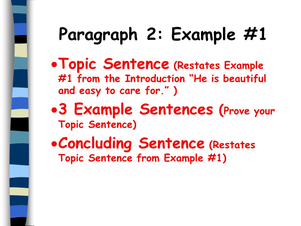 Paragraph 2: Example #1 Topic Sentence (Restates Example #1 from the Introduction He is beautiful and easy to care for. )