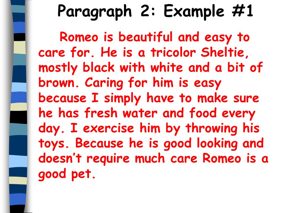 Paragraph 2: Example #1