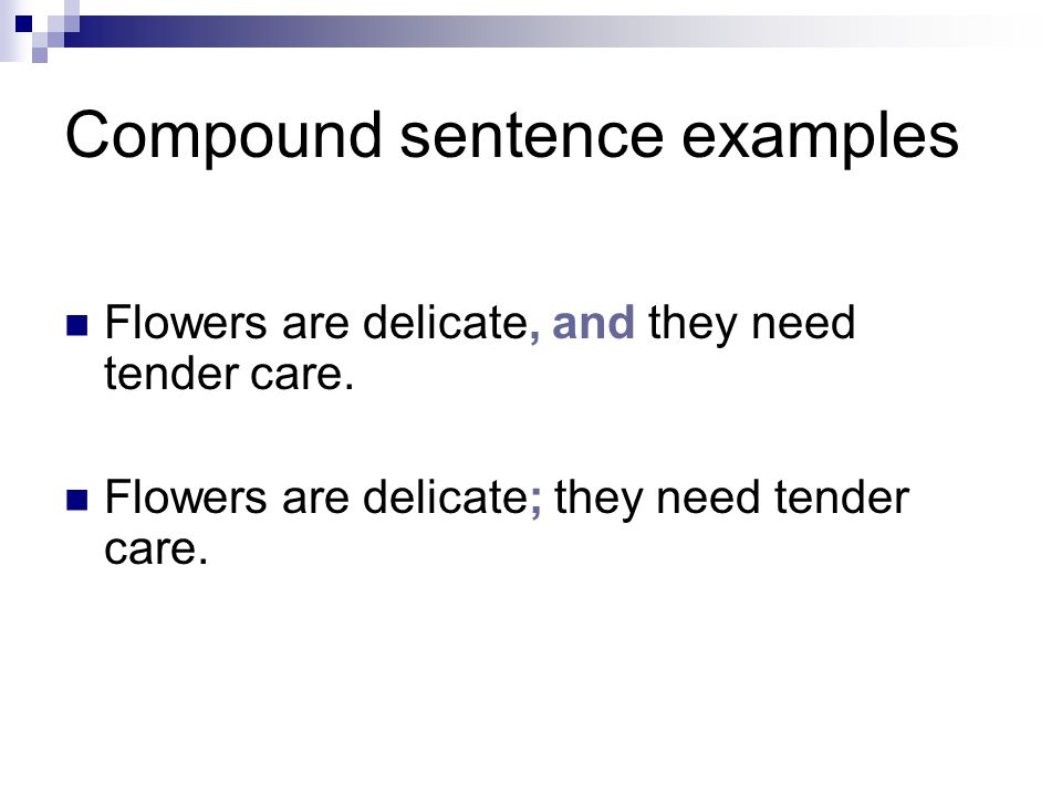 Compound sentence examples